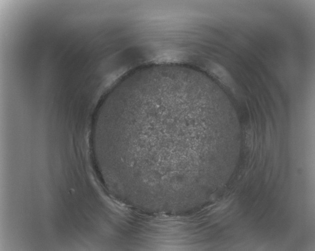 X0000067490491200604150045