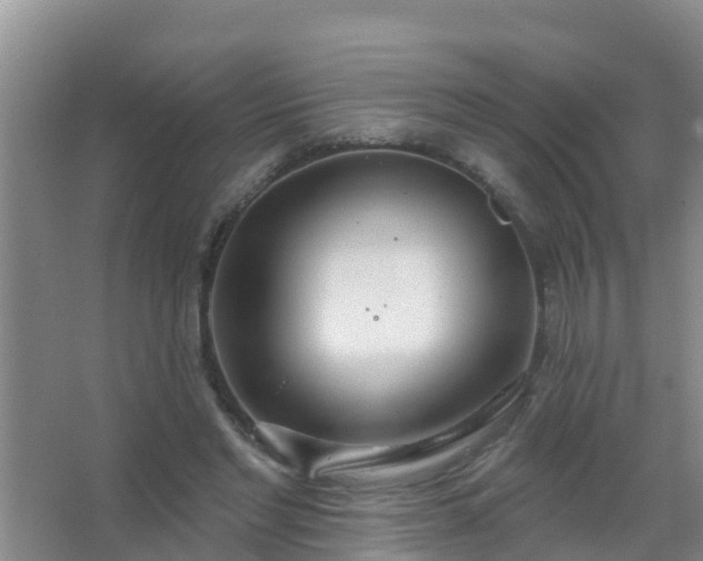 X0000067490493200604150045