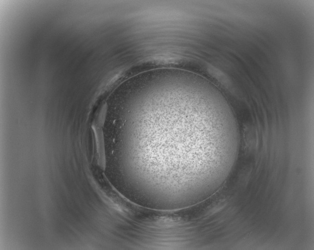 X0000067490494200604150045