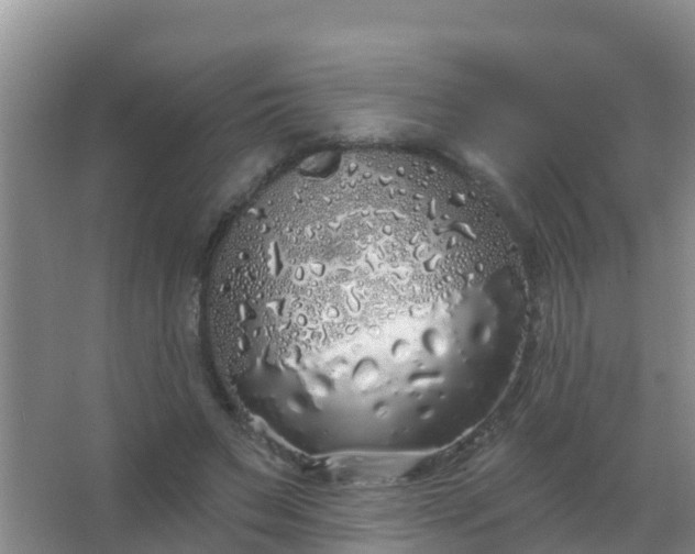 X0000067490495200604150045