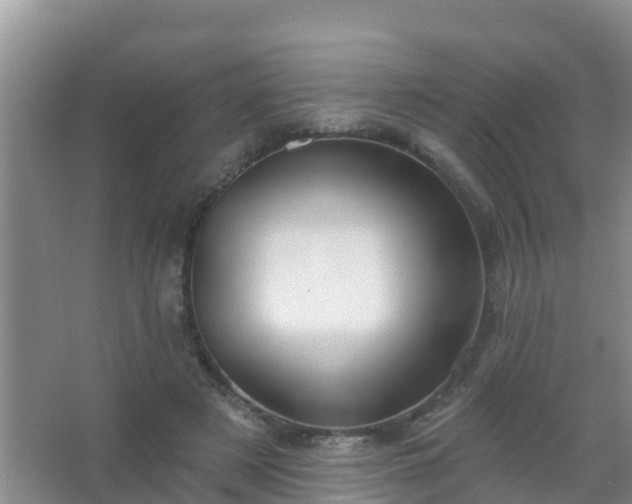 X0000067490497200604150045