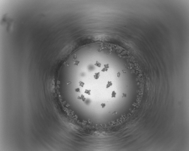 X0000067490502200604150045