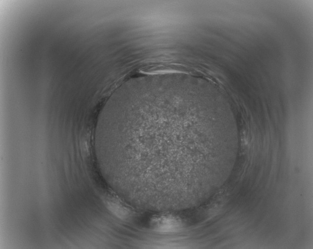 X0000067490503200604150045