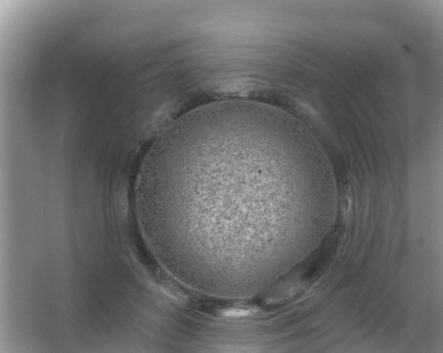 X0000067490504200604150045