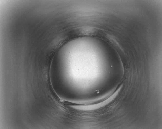 X0000067490505200604150045