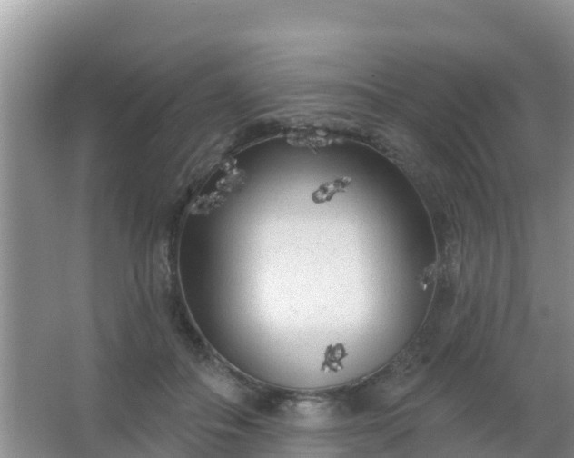 X0000067490506200604150045