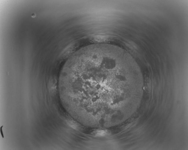 X0000067490507200604150045