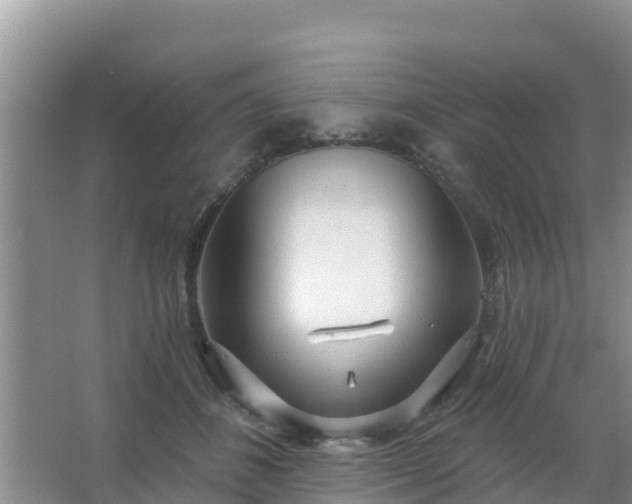 X0000067490508200604150045