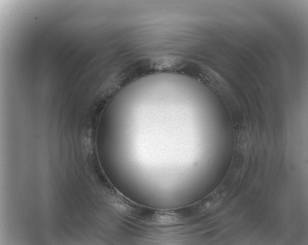 X0000067490510200604150045