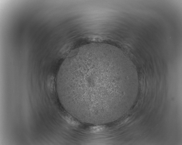 X0000067490511200604150045