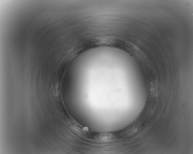 X0000067490514200604150045