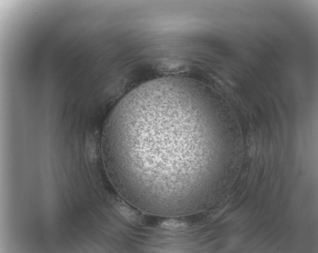 X0000067490515200604150045