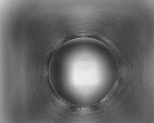 X0000067490517200604150045