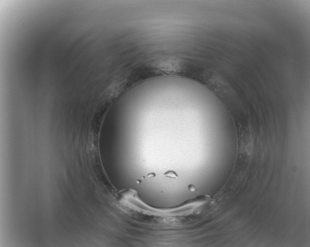 X0000067490518200604150045