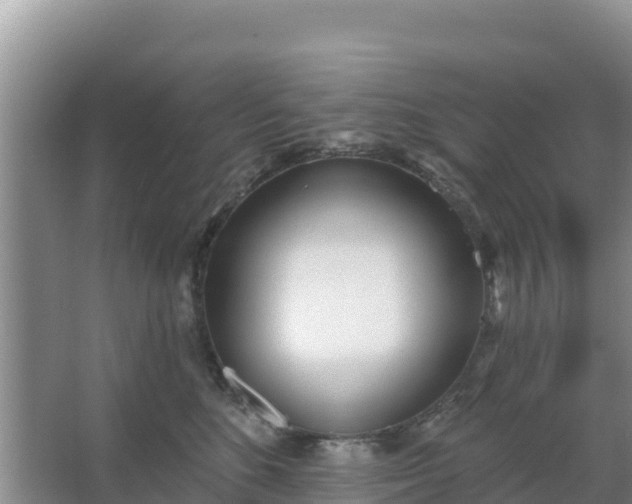 X0000067490520200604150045