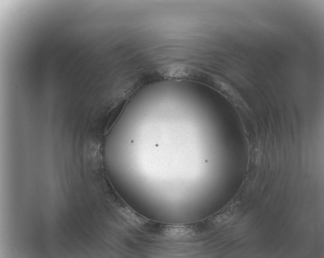 X0000067490521200604150045