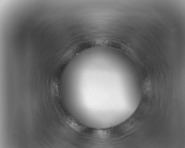 X0000067490522200604150045