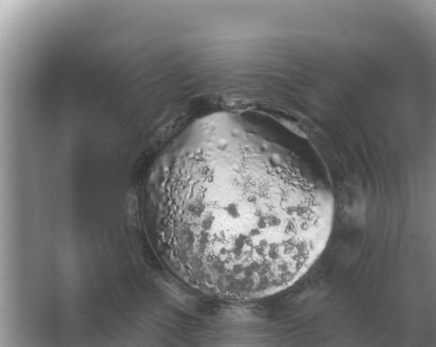 X0000067490523200604150045