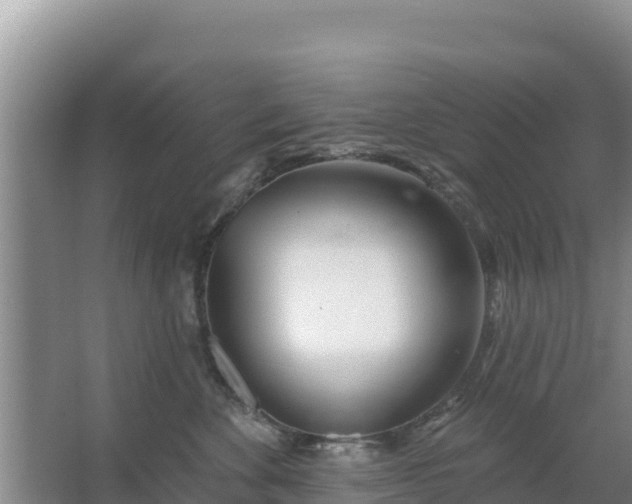 X0000067490524200604150045