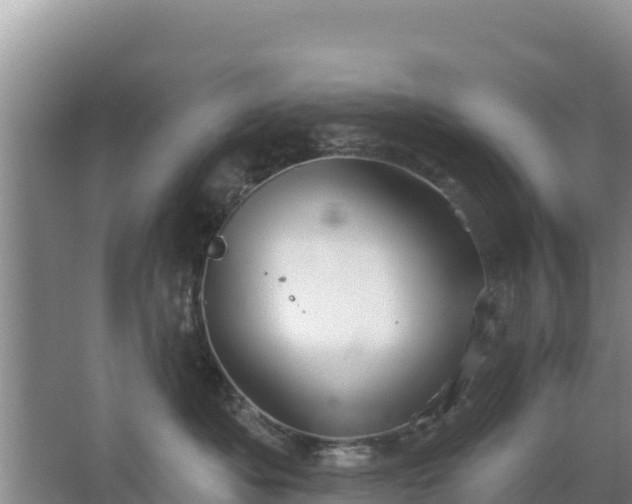 X0000067490525200604150045