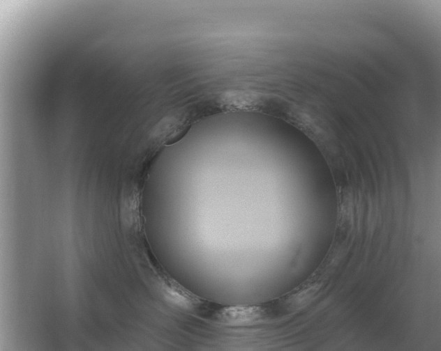 X0000067490526200604150045