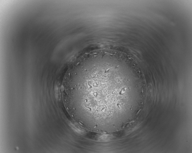 X0000067490527200604150045