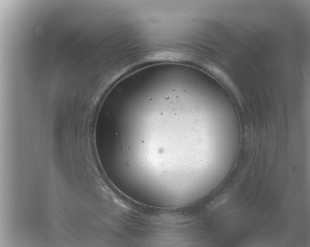 X0000067490529200604150044