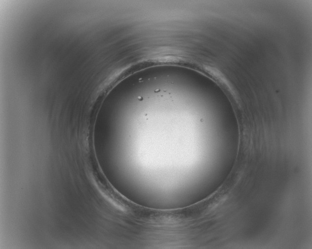 X0000067490533200604150044