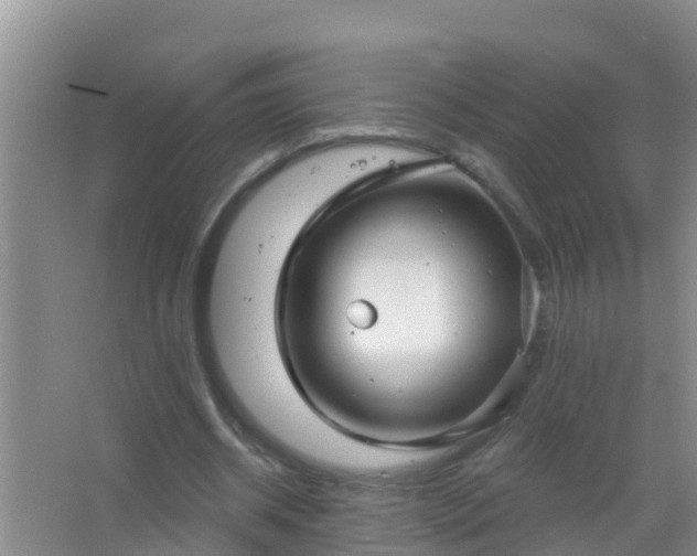 X0000067490534200604150044