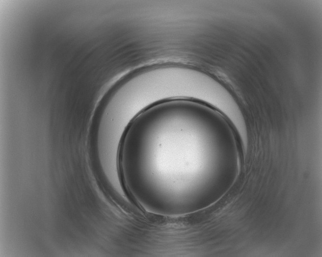 X0000067490536200604150044