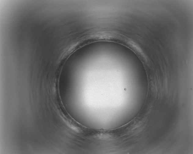 X0000067490537200604150044