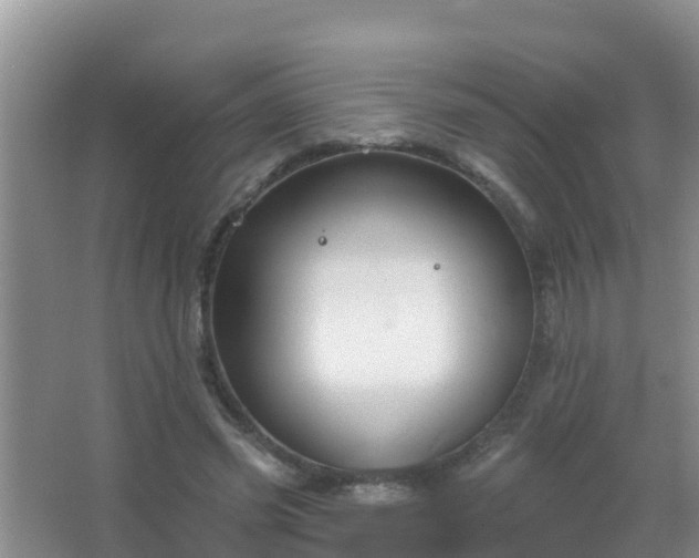 X0000067490541200604150044