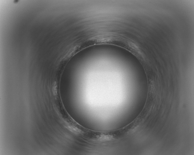 X0000067490549200604150044