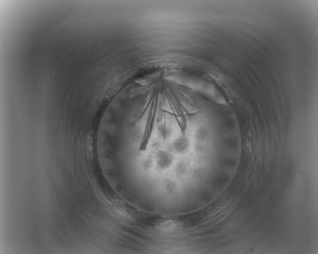 X0000067490551200604150044