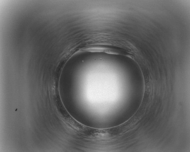 X0000067490552200604150044