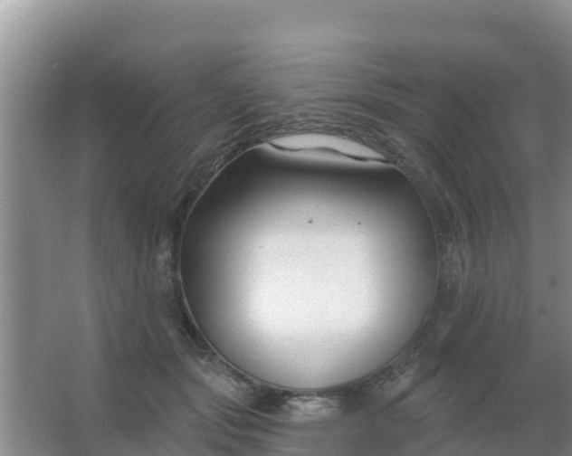 X0000067490557200604150045