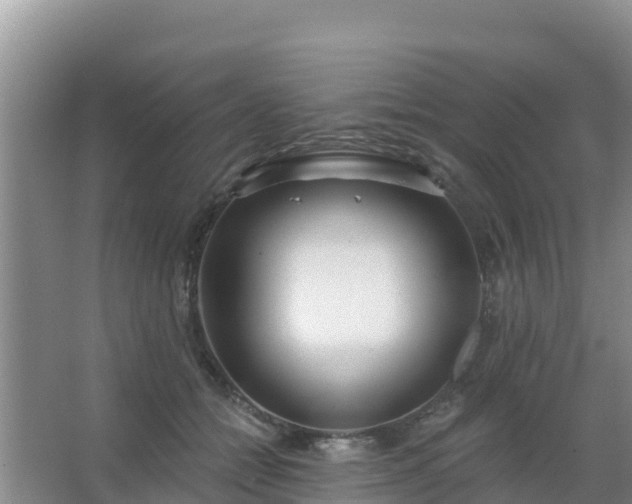 X0000067490558200604150045