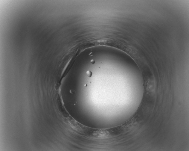 X0000067490559200604150045