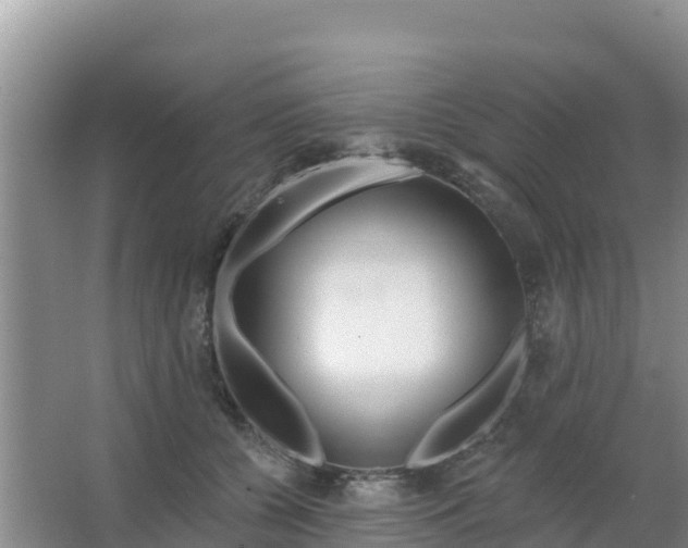 X0000067490560200604150045