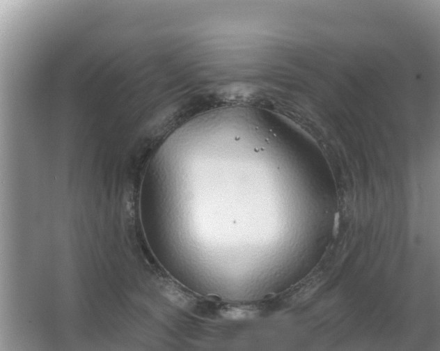 X0000067490561200604150045