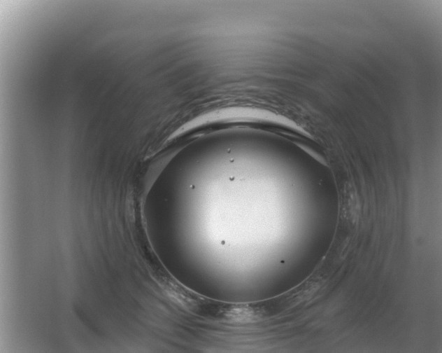 X0000067490562200604150045