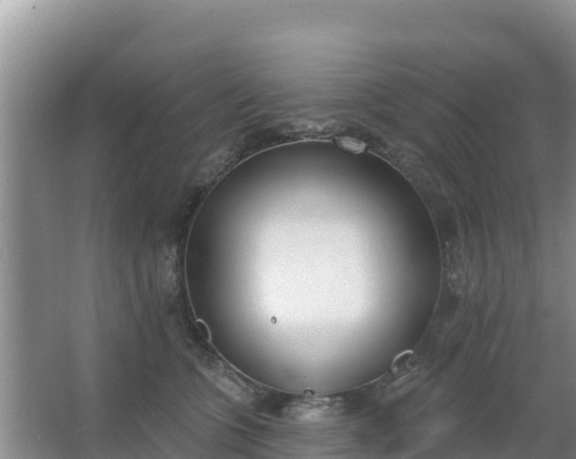 X0000067490563200604150045