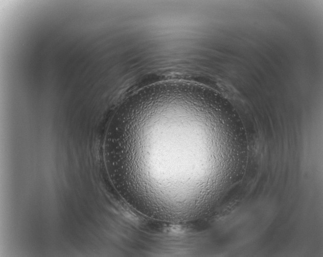 X0000067490565200604150045