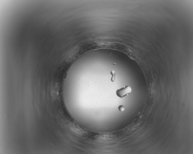 X0000067490567200604150045