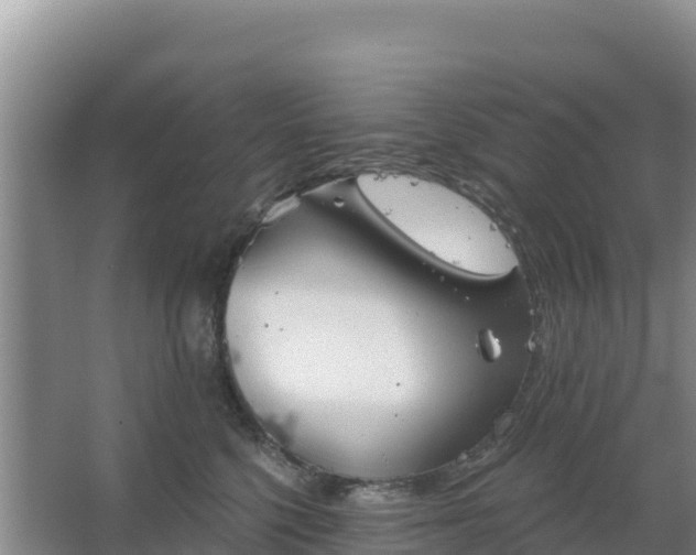 X0000067490568200604150045