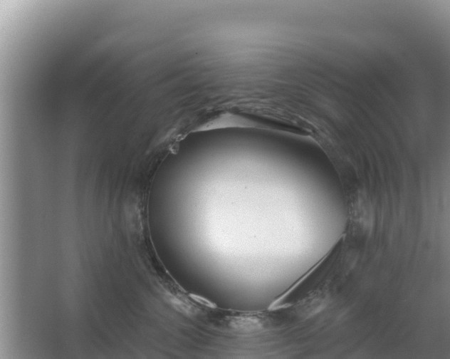 X0000067490572200604150045