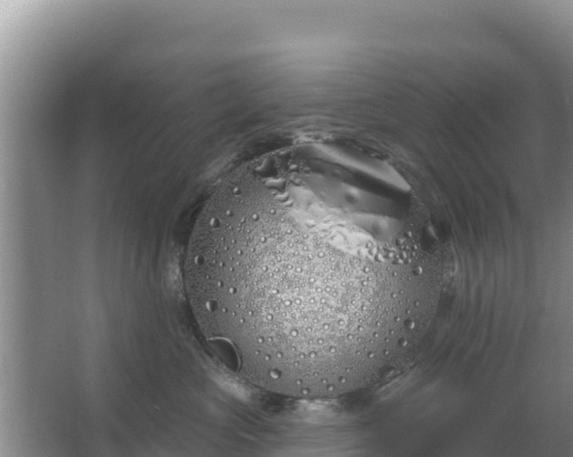 X0000067490573200604150045