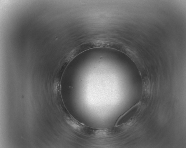 X0000067490574200604150045