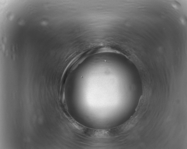 X0000067490576200604150045