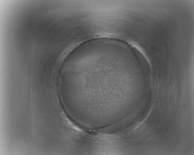 X0000067490577200604150044